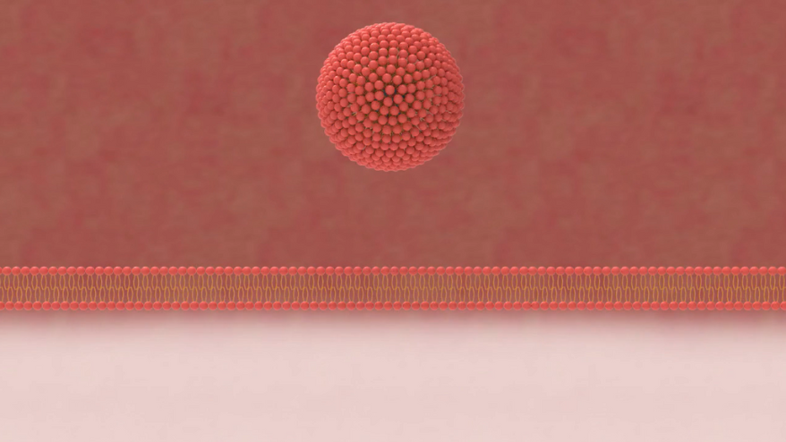 Why do NAD+ levels decline over time?